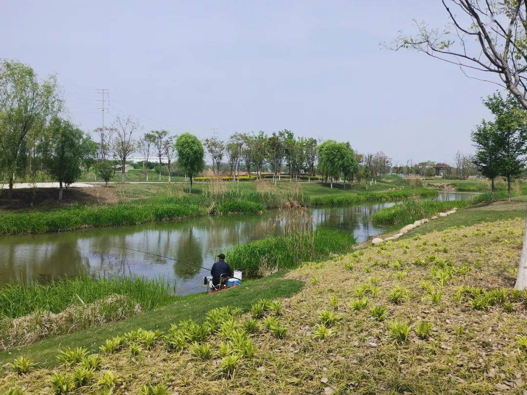 荒地野塘变身绿野仙踪丹阳又多一个休闲的好去处