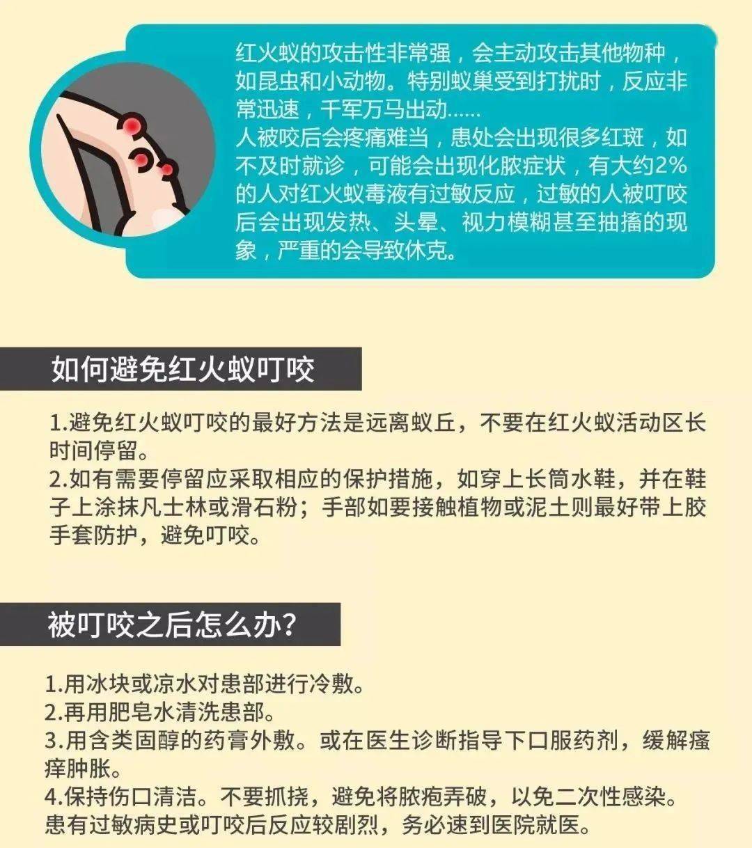 红火蚁入侵,你想要的"灭杀行动"来了!