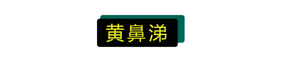 黄鼻涕和清鼻涕到底有啥区别啊