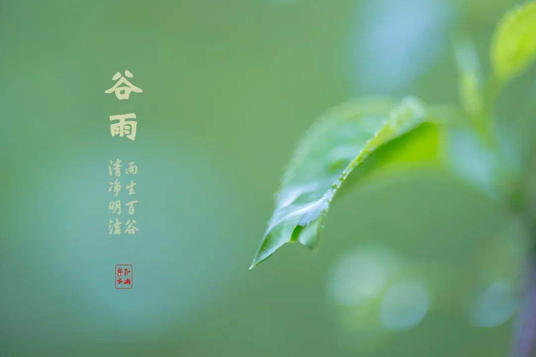 朗诵 谷雨:雨生百谷,万物逢时