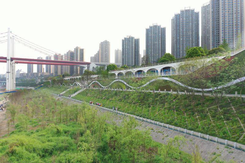 重庆九龙坡:"两江四岸"治理提升 市民亲水再添新去处