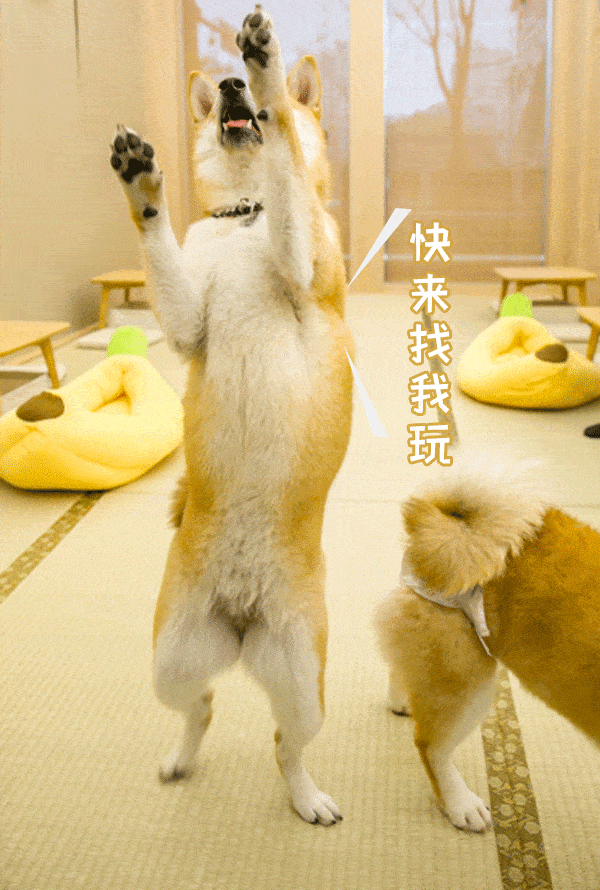 600_890 竖版 竖屏