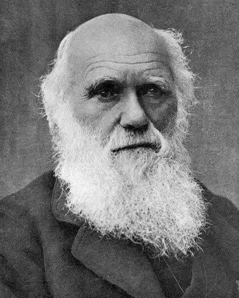 译 上海人民出版社  查尔斯·罗伯特·达尔文(charles robert darwin