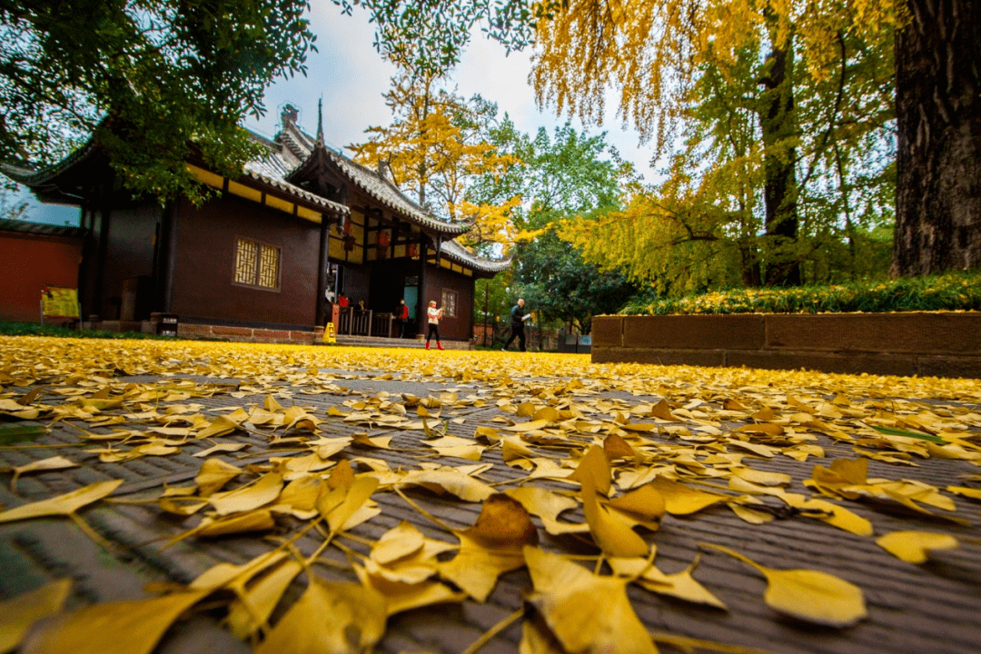 通都有 0 1 来一场穿越千年的文化之旅 主推地点 01 眉山三苏祠博物馆