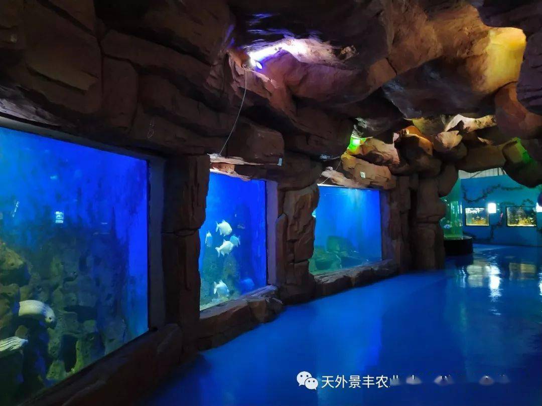 呼市天外景丰海洋世界·五一隆重开馆,免费门票无限送!送!