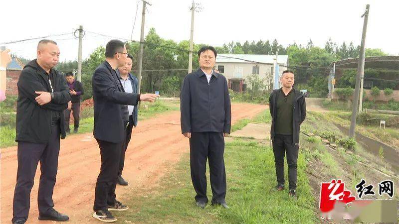△付学文现场察看并听取有关河道治理工作情况汇报