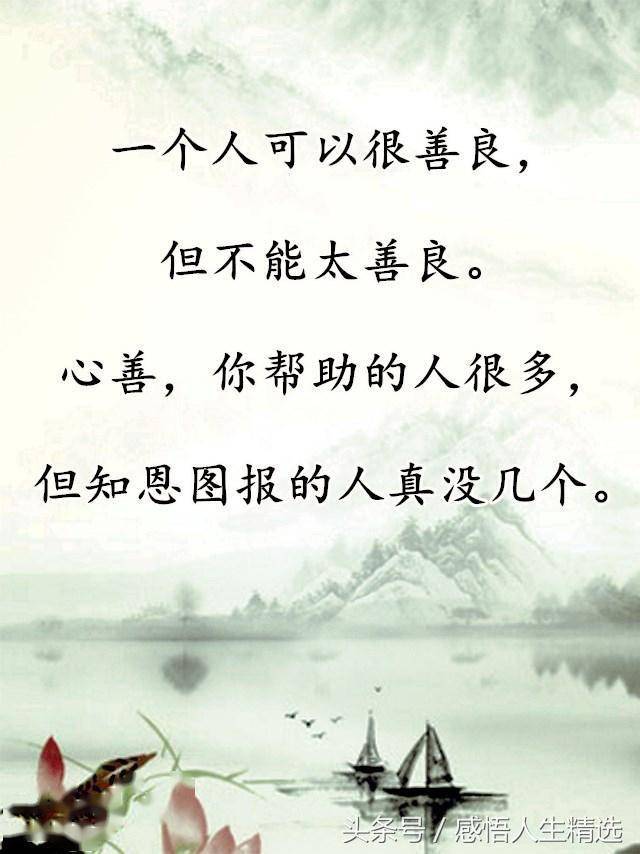 人,不能太心软了
