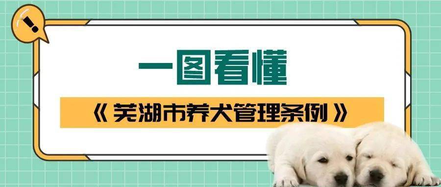 《芜湖市养犬管理条例》开始实施的2021年5月1日起hell