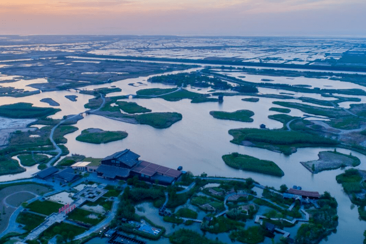 宁波杭州湾国家湿地公园