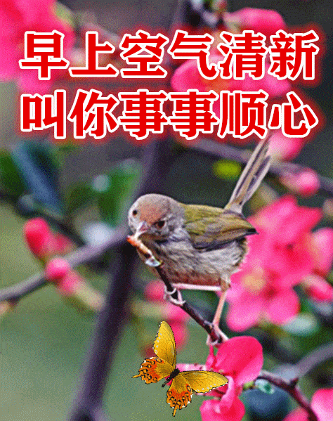 水至清则无鱼,人至清则无朋,早安