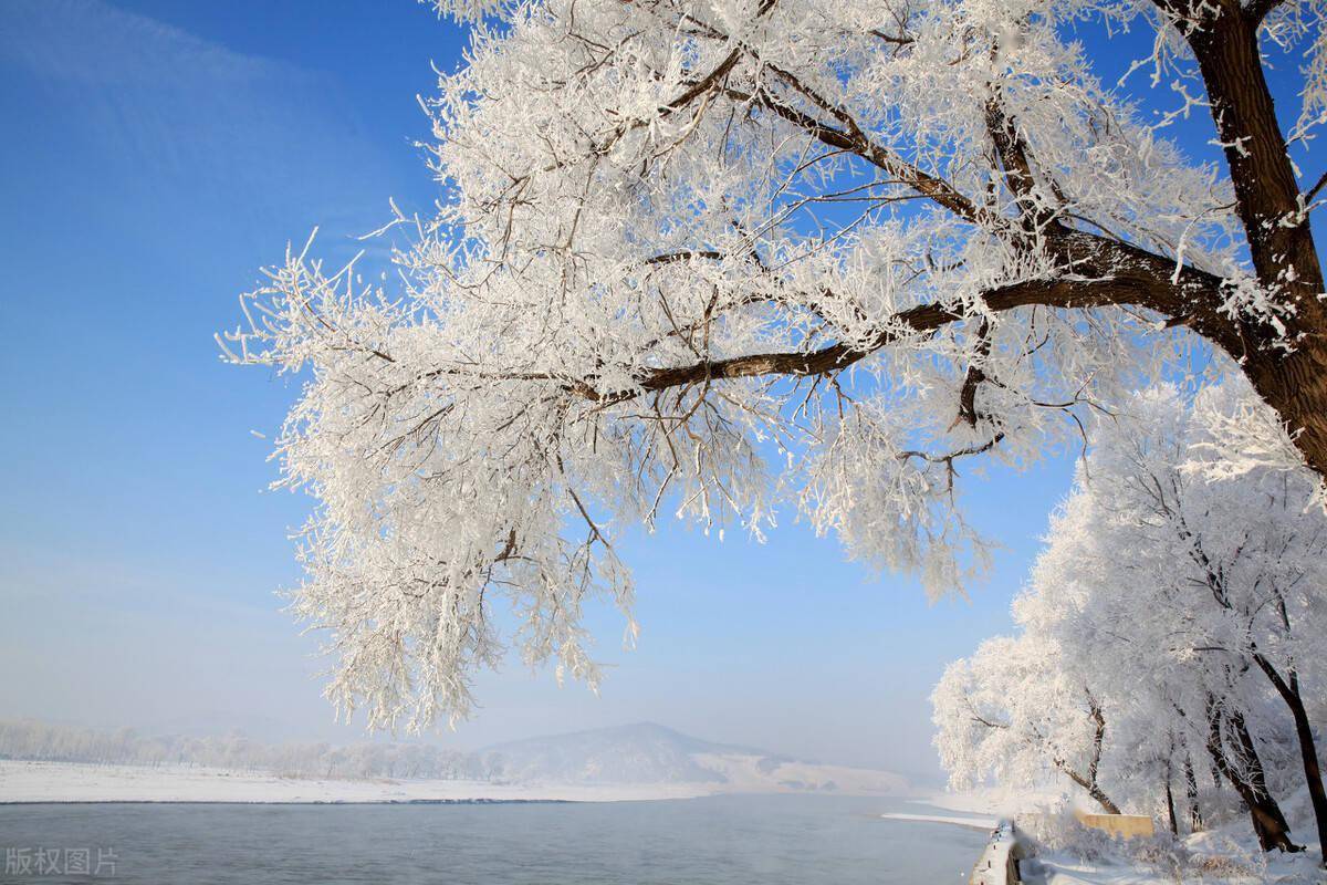 风花雪月的风景