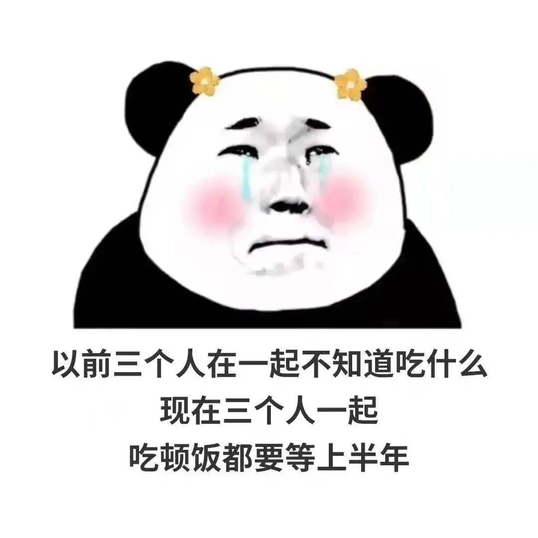 抖音表情包精选