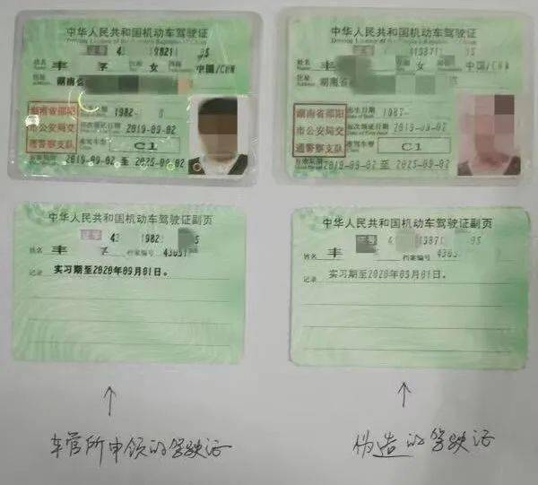 因在驾驶证暂扣期间驾驶机动车以及使用伪造,变造