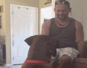 二货主人,这是我的骨头~还给我