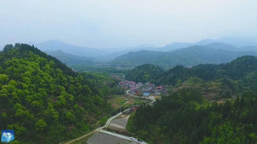 【通山劳模风采】刘璇:将青春献给我的"桃花源"_三源村