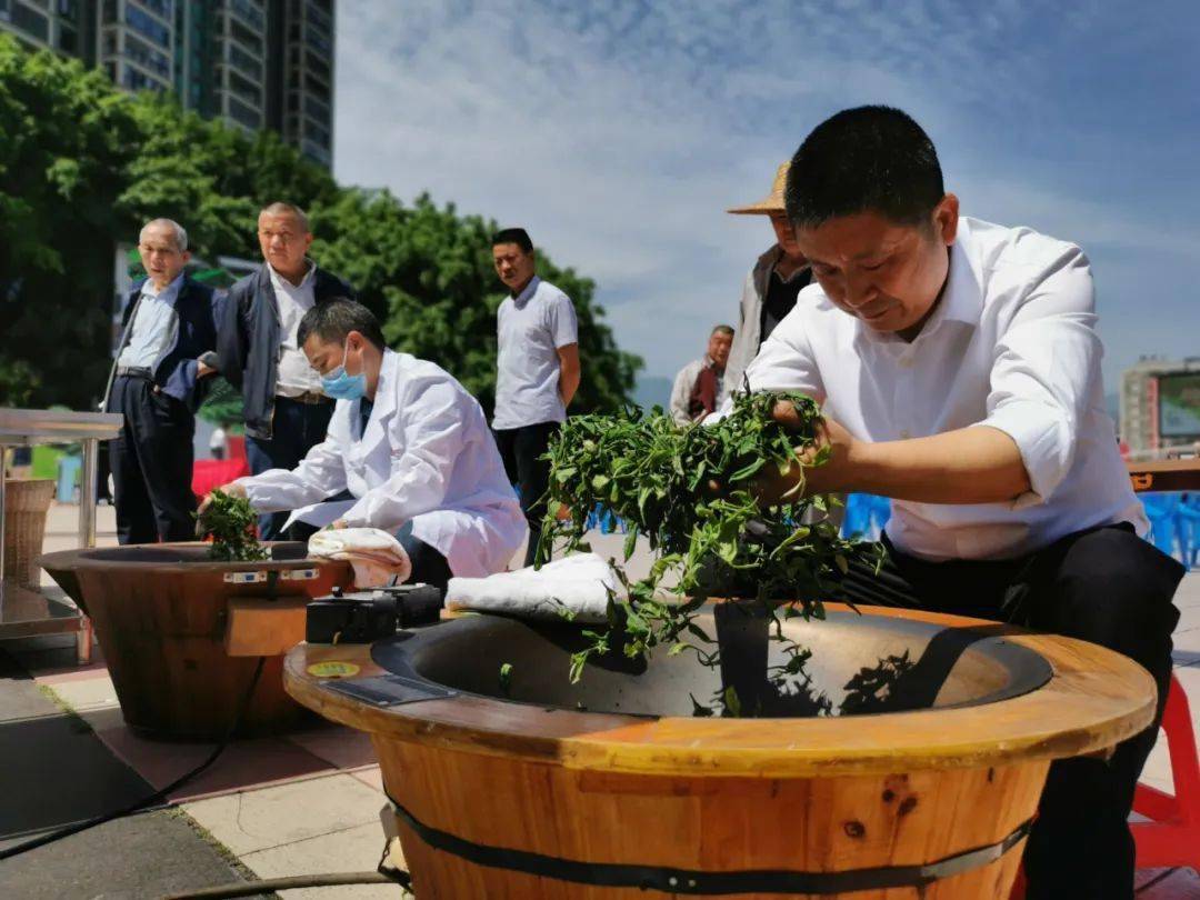 经过这四道工序 醇香的白毛马茶就制作好了