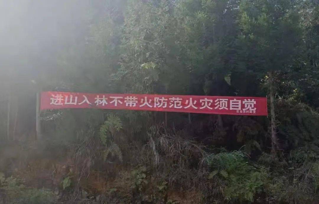 投票啦!寻找"最牛"凉山森林草原防灭火宣传标语大赛开始投票