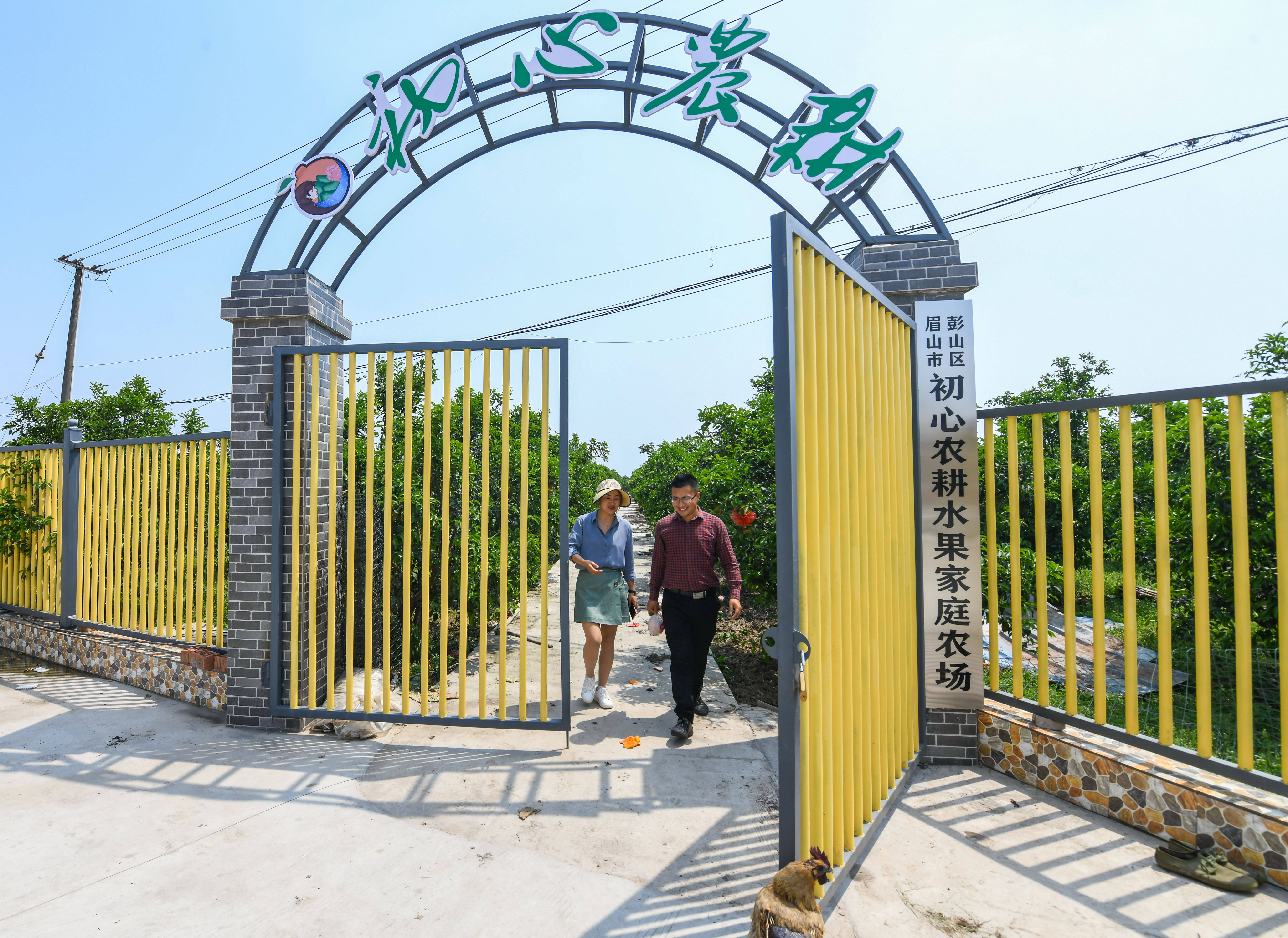 4月30日,在四川省彭山区公义镇,刘沈厅(右)和家庭农场主郑利彬走出