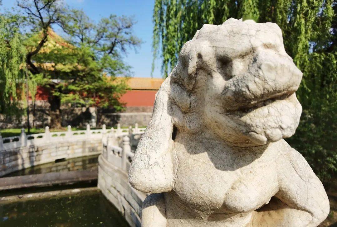 在阳光灿烂时,以浓郁的绿叶为背景,拍下光影下的小狮子,也别有一番