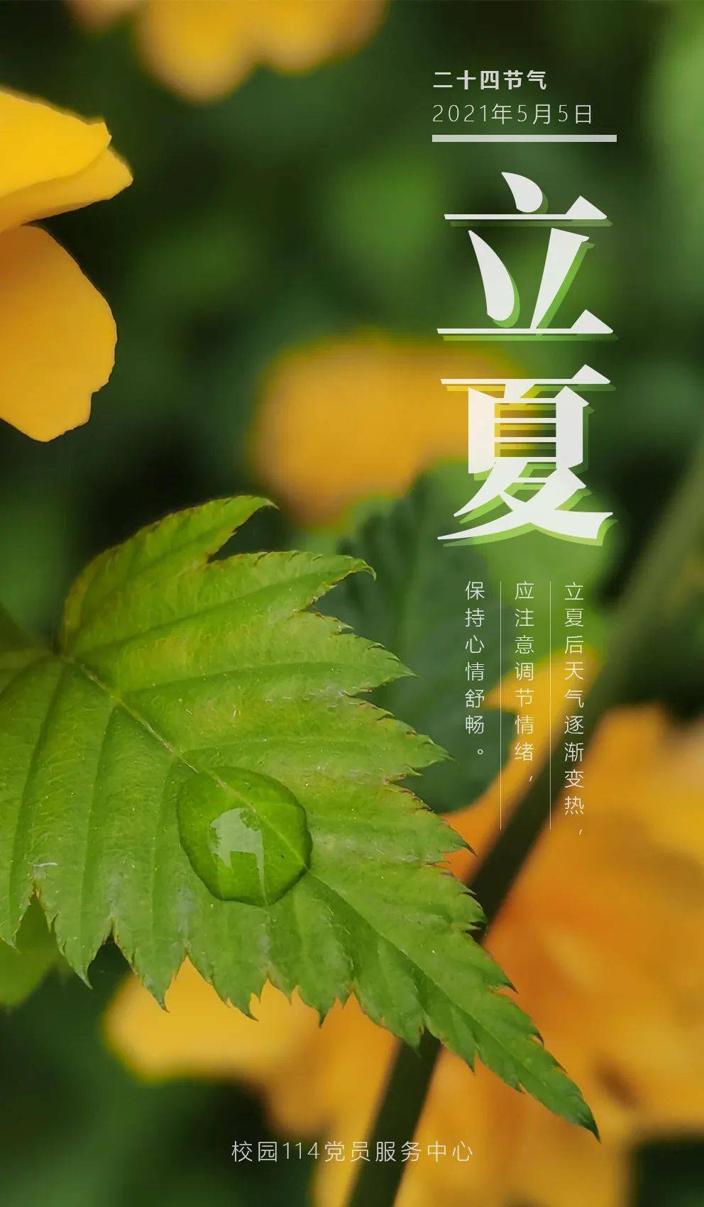 "立夏"前后,我国只有福州到南岭一线以南地区是真正的"绿树浓阴夏日长