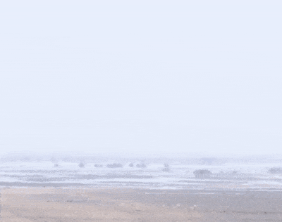 400_316gif 动态图 动图