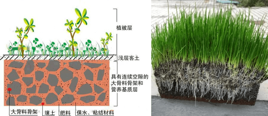 植生混凝土:应用前景广阔的环境友好型护坡材料