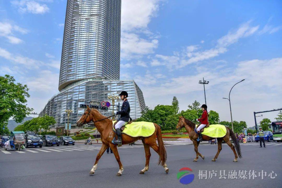 桐庐大街上走来八匹骏马!_马术