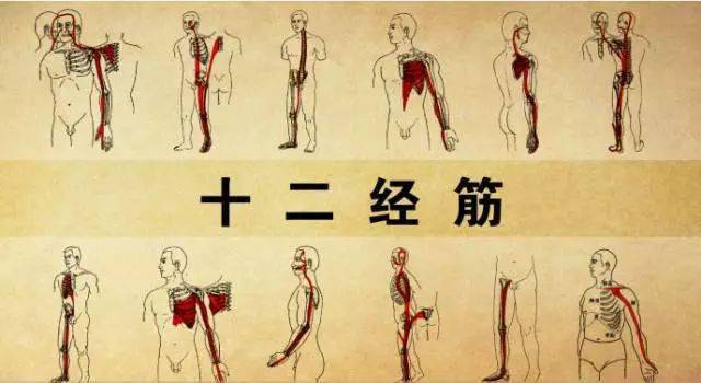 拉开身上"筋结",体内百病去,独门拉筋法,8~80岁都适用