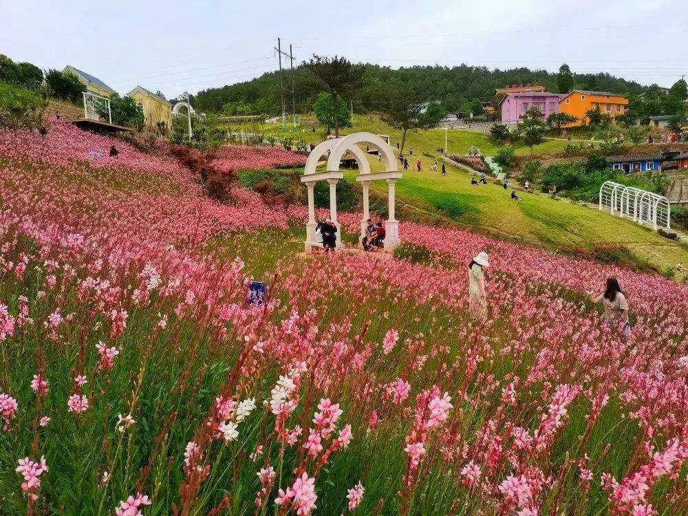 花开满园芬芳 行走其中 栖凤峡旅游区 国家aaa级旅游景区 栖凤峡旅游