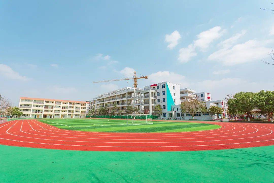 四川天府新区2021年小学信息一览