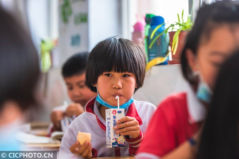 2021年5月12日,河北省邢台市柏乡县固城店小学,一名学生在喝牛奶.