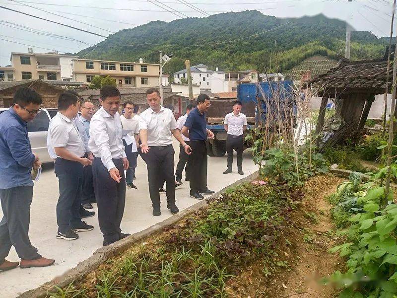 书记(市长)谈生态环保丨龙岩市政府黄庆辉副市长一行赴上杭县调研土长