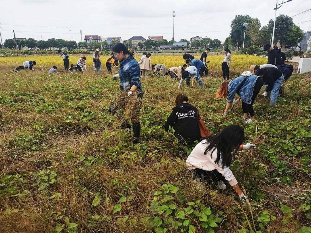 在学校劳动教育实践基地