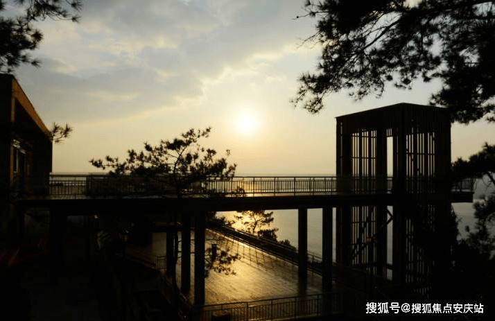 安新防疫24小时电话