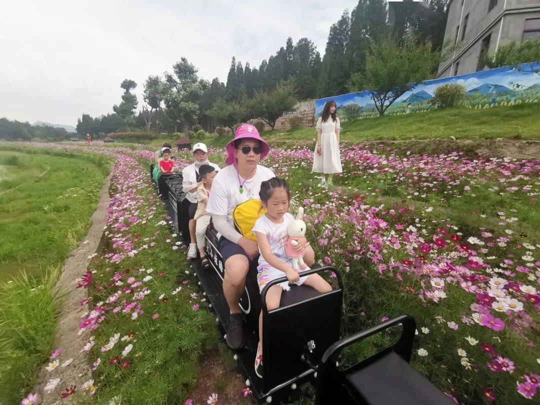 而在乡村嘉年华现场,文成大月湾农场的村光网红打卡