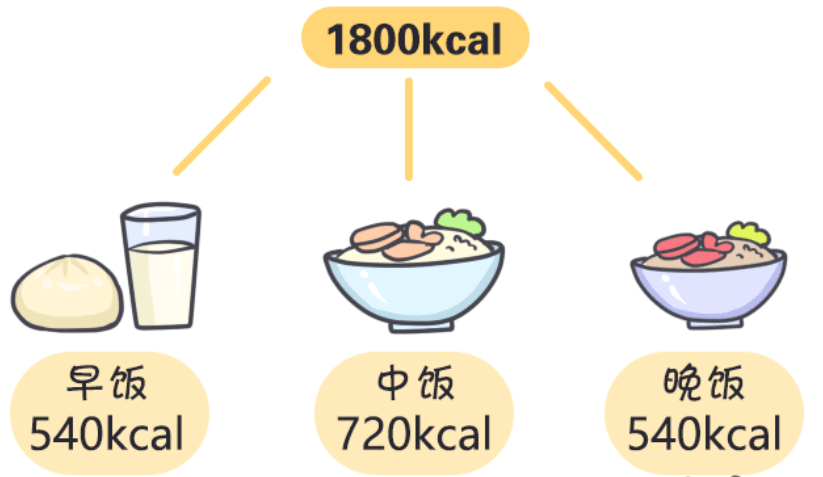 食物能量分配要科学