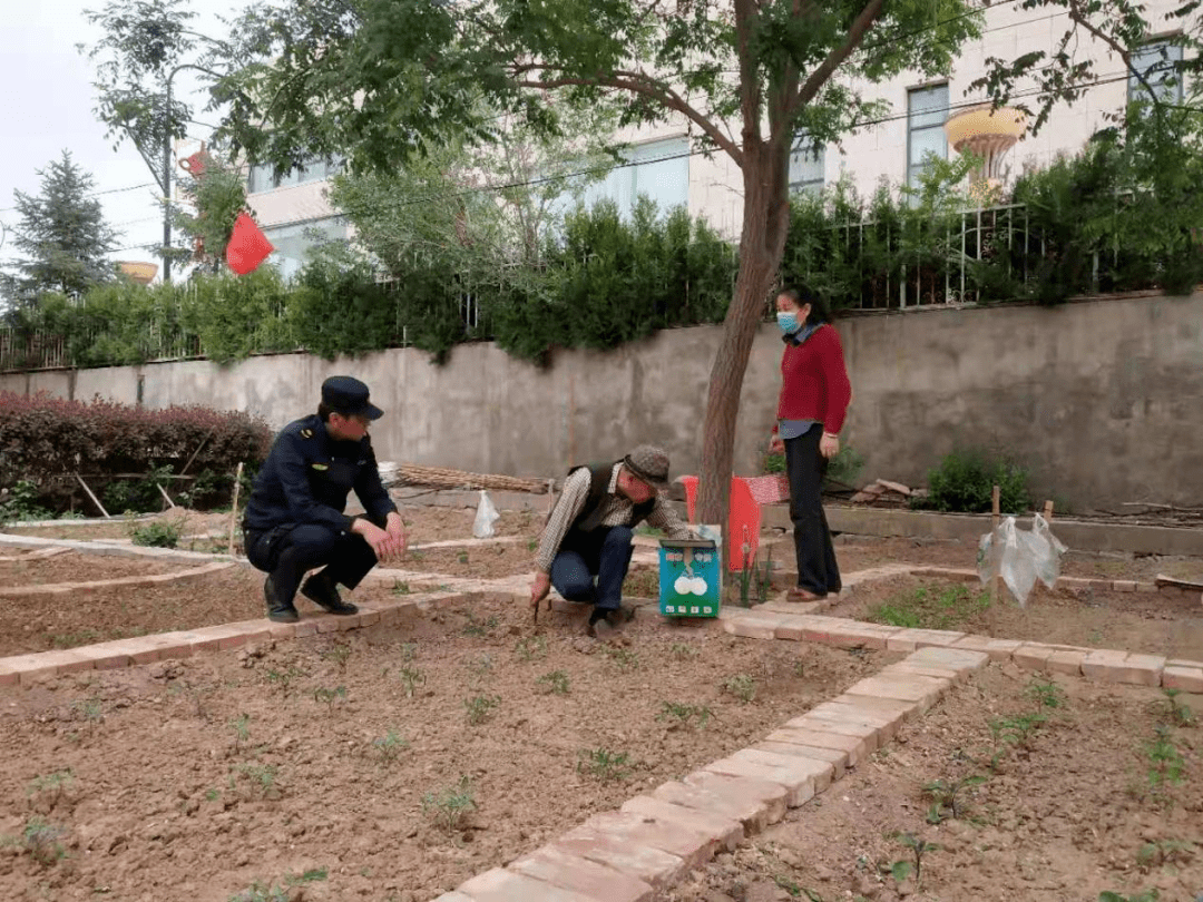 【创建文明城市】整治"毁绿种菜" 还绿于居民