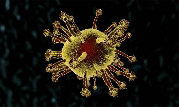 科学家首次在人体内发现犬冠状病毒,第8种可感染