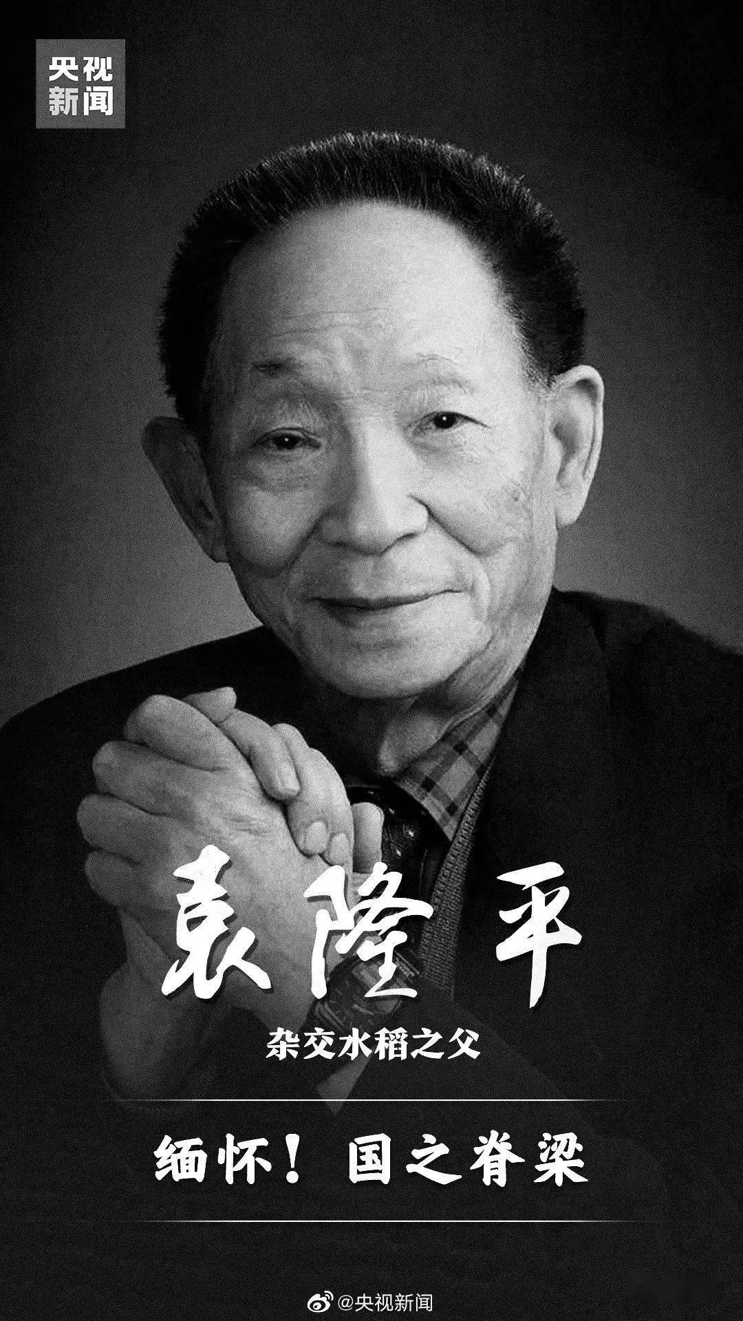 文字      袁隆平 中国杂交水稻育种专家 中国研究与发展杂交水稻的