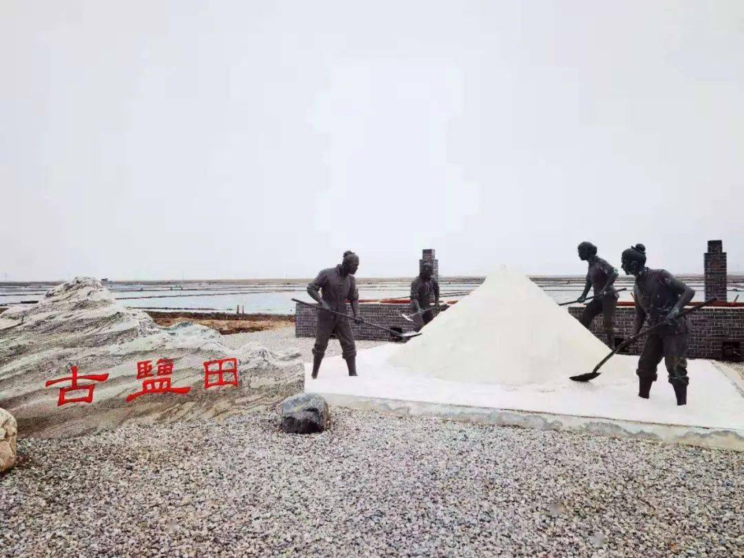 近日,丽泽小学研学小队来到位于美丽渤海之滨的天津长芦汉沽盐场.