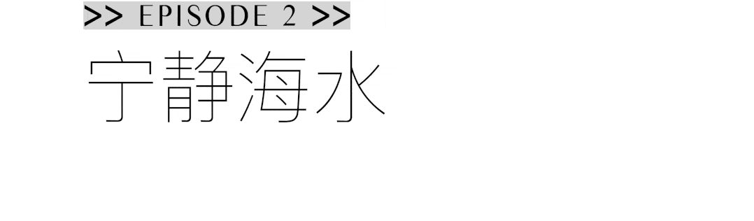 是海天一色间的点点白帆,是清澈海面上的海鸥轻翔,是粼粼波光中的海风