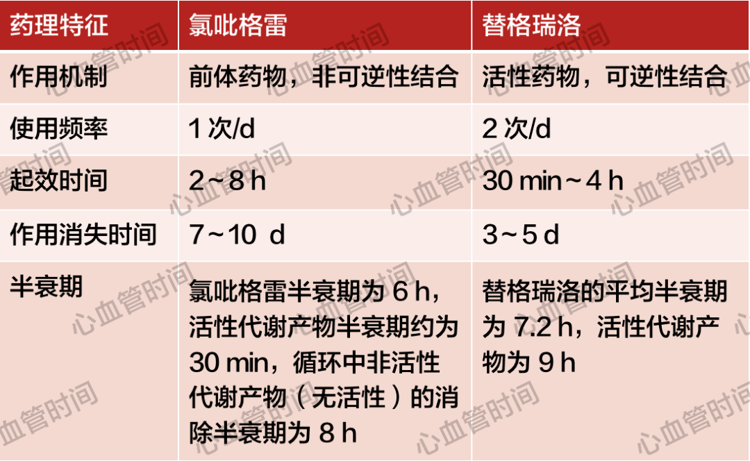 氯吡格雷与替格瑞洛半衰期相似,为何给药次数却不同?