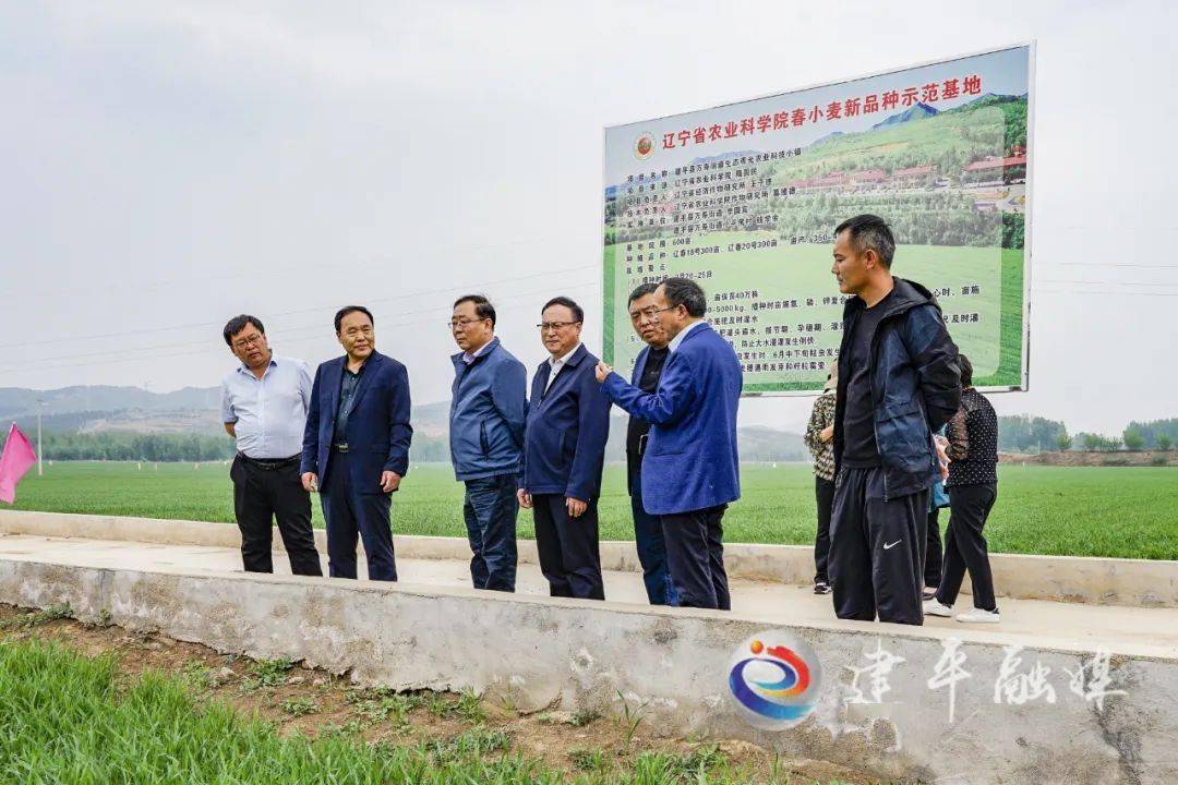 近日,中国农业科学院棉花研究所党委书记,副所长潘燕荣率调研组到建平