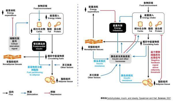 energy balance model能量平衡模型(供图:肖仲琳)