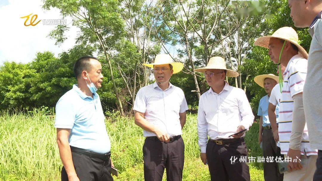 何林国督导检查三丫江及其支流劣v类污染整治并开展巡