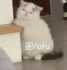 你要去做那只慢速前进的乌龟,趁那只懒惰的得意的兔子睡着的时候,去