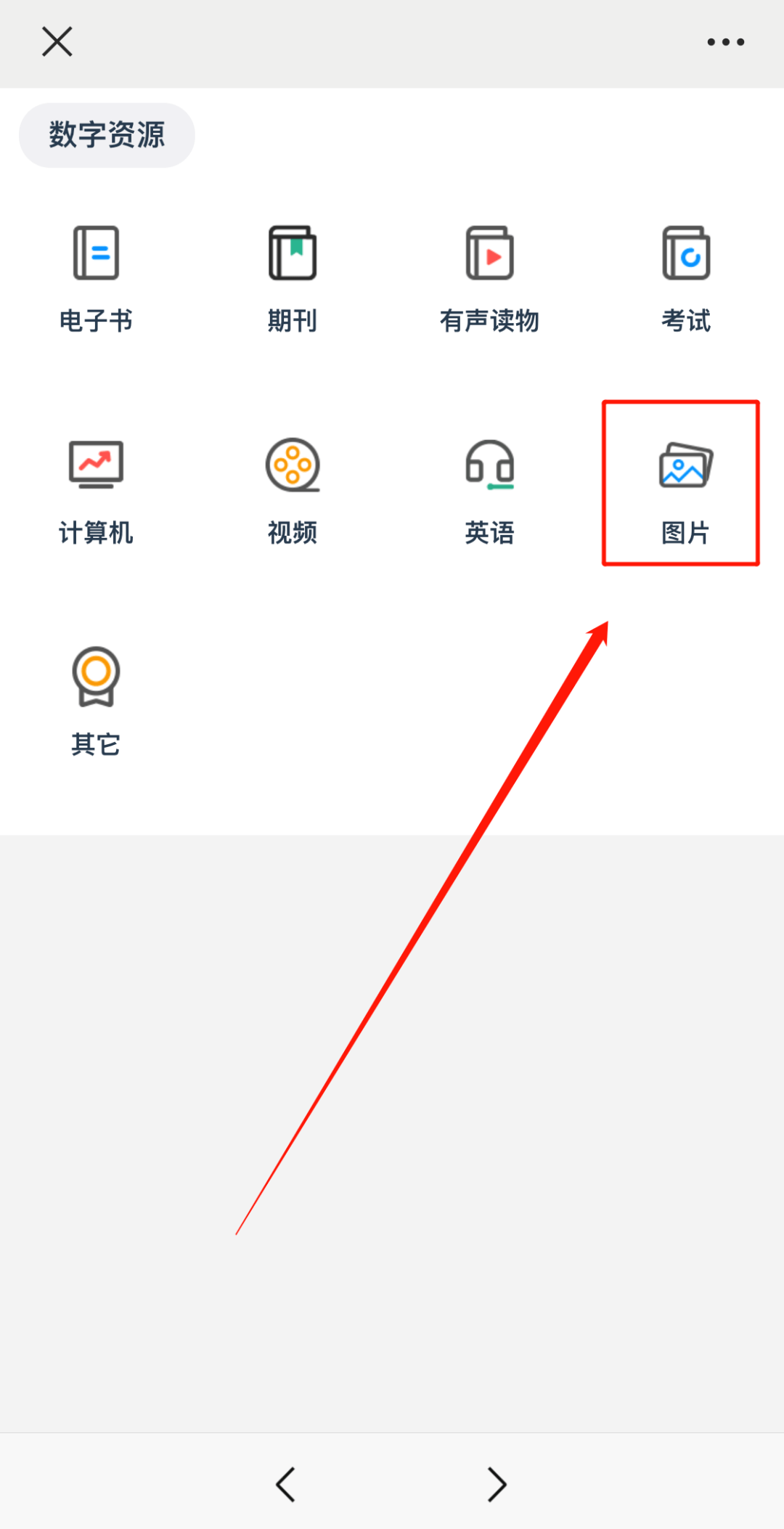 登录东莞职业技术学院图书馆网站(http://lib.dgpt.edu.