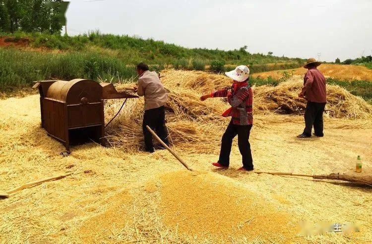 王家臣:又见昔日打麦场_劳动