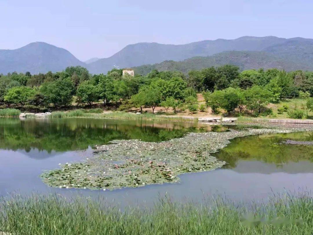 北京植物园湖区景观