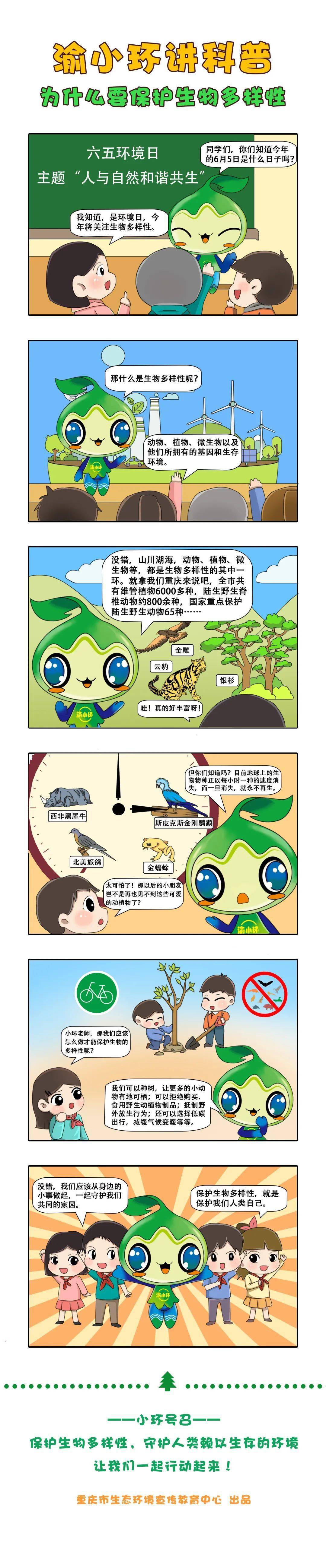 渝小环讲科普漫画 | 为什么要保护生物多样性?